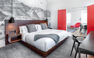 Deluxe Apartment